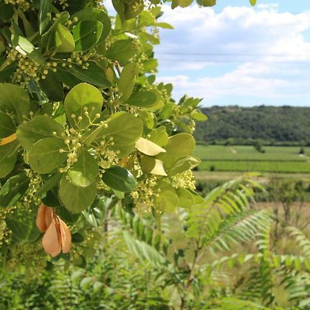 Vila Flora Sečovlje Εξωτερικό φωτογραφία