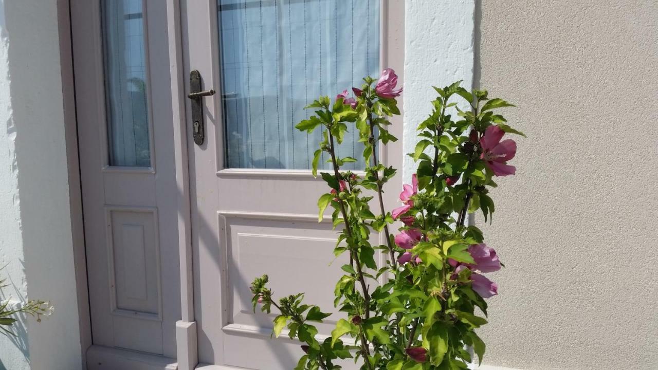 Vila Flora Sečovlje Εξωτερικό φωτογραφία