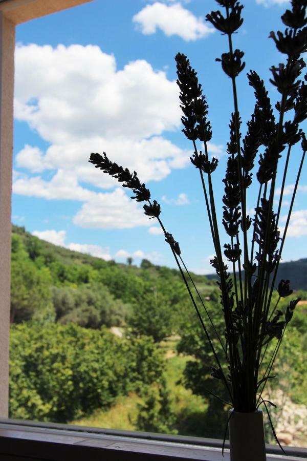Vila Flora Sečovlje Εξωτερικό φωτογραφία